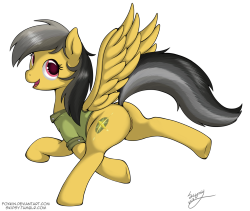 skipsy:  skipsy:  Woah, first post is NSFW. What have I done? Have some Daring Do! With or without panties, your choice. :3  I’ve been on Tumblr for a year now, so here’s my first post, April 15th 2012! &lt;3 you guys  &lt;3
