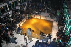 somekindofstranger:  ladymohawk:  empatheticvegan:  Boycott @Heineken, they sponsor dog fights. Also watch out for the other brands they brew.   Thank you for this info - had no idea Heineken were apart of such a cruel and shameful sport. Will no longer