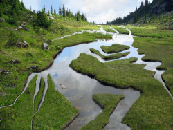 venomouselegance:Kokopelli River by gerace, “Kokopelli, the Flute Player, is a Native American symbol of fertility, dance, and mischief. Legends say his spirit protects this meadow stream.