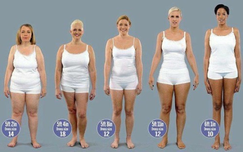 Different breast shapes and sizes