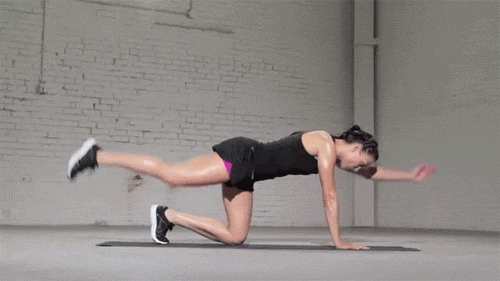 GIF Workouts - cover