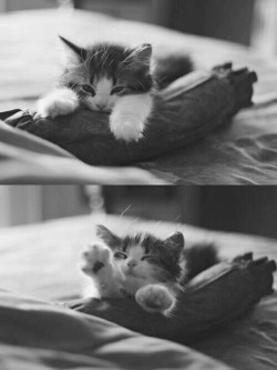 Need cuddles…pweeease!!!