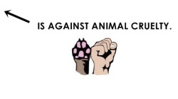 hot-tea-nanako:  catandaguin:familiaralien:missingkitsune:eatfithappiness: vegan-vulcan:  I didn’t know there were twenty thousand vegans on tumblr!!!  You can be against animal cruelty and not be a vegan  You can be against animal cruelty and not be