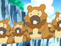 fyeahcontroversialcharacters:  Character: Bidoof Fandom: Pokemon Reason for Being Hated: ”Stupid”, “ugly”, everywhere in the game (so were other pokémon in the previous games), due to its common-ness it often ruins “chains” in the games. 