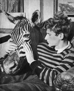 yama-bato:  Lucian Freud With Zebra Head c. 1943  la zebra è figlia di Jung, l'archetipo delle figlie di Jung. 