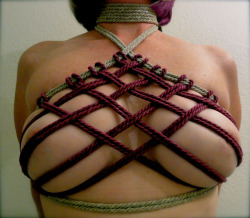 fuckyeahbondage:  I havent posted in a while, here is some work I did last weekend.Â  Next weekend is Shibaricon. Will you be there? send me a note and lets met.Â    pretty stuff