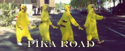 whitetigermiharu:  Me amd my friends doin’ the Abby Road Cover.I’m the second Pikachu from the right. :)  PERF.