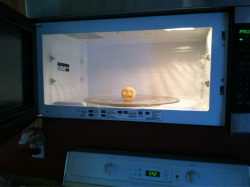 teapayne:  I put a smiley fry in the microwave so next time my mom goes to make something she gets a pleasant yet unpleasant surprise 