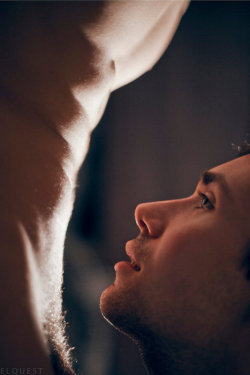 vae-victo-homo:  universeoflust:  That look.  Some heady combination of admiration, hunger, affection and submission. 