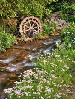 Rustic Water Wheel on Scenic Stream in Mill Creek Canyon, Utah (byIronRodArt - Royce Bair (“Star Shooter”))