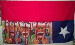about-lights:  Bandera llena de sangre Mapuche. 