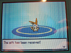 poke-problems:  Victini is back! How to get it on your copy of Black or White: Mystery Gift &gt; Recieve Gift &gt; Nintendo WFC &gt; Virtuoso Victini!  YAAAAAY I LOVE YOU