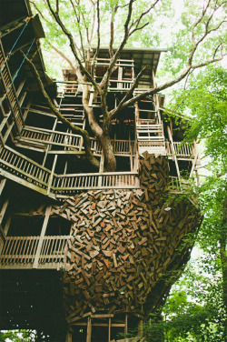 kingdom-of-animals:  The Minister’s Treehouse in Crossville, Tennessee is a 100ft structure built by minister Horace Burgess from the early 1990s through 2004. The entire building wraps around a giant tree and was built completely without blueprints,