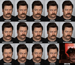 panchoracer:  frenchetoast:  The emotions of Ron Swanson.  Ron Fucking Swanson is the shitness!
