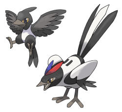 fantasticfakemon:  Magfly —&gt; Coppie Source.   I wish there actually was a canon pokemon based on magpies