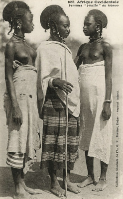 grand-bazaar:  1910s Senegal 