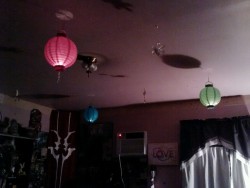 just hung paper lanterns in my room. I think I might get more :3