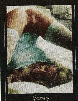 Penthouse Calendar, Vintage Ad, Penthouse - December 1980