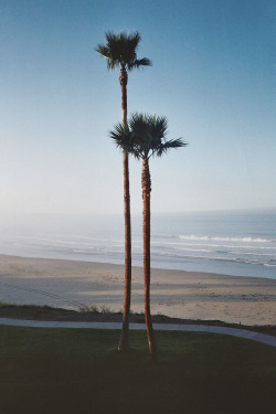 meowrica:  Pismo Beach, California (by christian storm)