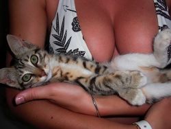 Boobies and pussy