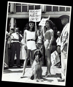 burleskateer:  Novita (wearing sunglasses) marches the picket line with other members of the ‘Exotic Dancers League’.. The picket took place in 1959, in front of the offices of the ‘Los Angeles Examiner’ newspaper; to protest their new policy