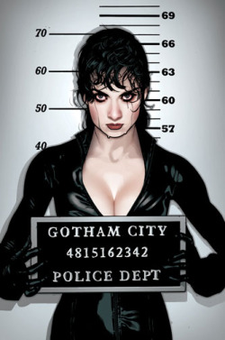 Does anyone really believe casting that chick flick movie bitch, Anne Hathaway is gonna truly do justice to the role of Catwoman? Granted, we still haven&rsquo;t seen the movie, but from trailers and fan opinions, this movie&rsquo;s not looking so great.
