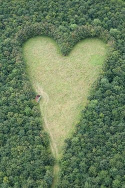  A heart-shaped meadow, created by a farmer as a tribute to his late wife, can be seen from the air near Wickwar, South Gloucestershire. The point of the heart points towards Wotton Hill, where his wife was born. 