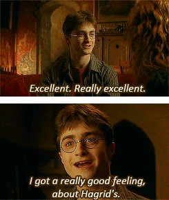 wholock-potterhead:  awesomeiness:  potter-merlin:  pitythemonster:  rosereturns: 19/30: Funniest moment - Harry high on Felix Felicis  This is not acting, this is Daniel acting like Daniel.  High Harry was the greatest  One of the only parts that had