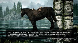 skyrimconfessions:    That moment when you dismount your noble steed and watch as it is telekinetically pulled to the top of a small mountain, hovers, then falls to its death. http://skyrimconfessions.tumblr.com  