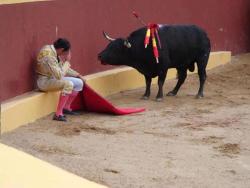 mrshourglass: stigmartyr762:  transcendingdiimensions:  almostnormalboy:  mushaka:  santosha65:   This incredible photo marks the end of Matador Torero Alvaro Munera’s career. He collapsed in remorse mid-fight when he realized he was having to prompt