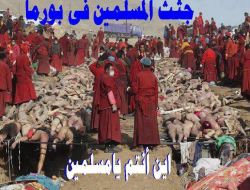 felfela:  #بورما  مجموعه بوذيه فى خريف الإبادة لمسلمي بورما برعاية حكومية والصمت الدولي والعربي يبارك الجرائم ضد المسلمين. حسبي الله ونعم الوكيل