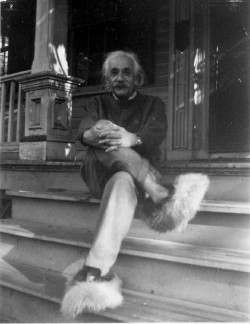 soldmysoultorockandroll:  imprintation:  gsfsoul:    Albert Einstein in Fuzzy Slippers  how can you just scroll past this you can’t  i tried to but as you can see i couldnt  cannot ignore this post ok  i tried but i had to scroll back up 