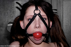 tapedlipsandglue:  I love Sara Scott, she’s so cute, and loves to be bound and abused more than I do!