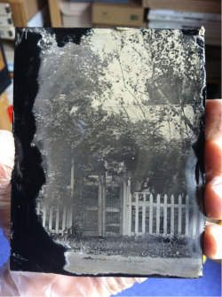 brookelabrie:  First day of my wetplate private tutoring. Here is my first plate! 