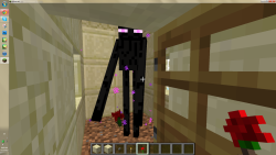 youre-my-boi-micool:  ender-friend:  I FOUND AN ENDERMAN IN THIS DESERT VILLAGE HOUSE AND HE LOOKED SAD SO I PUT A FLOWER DOWN ON THE GROUND AND HE HE PICKED IT UP ENDERFRIEND  *whispers* Frienderman 