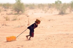 politics-war:  A Malian refugee pulls a jerrican of water at the Mbere refugee camp on May 3, near Bassiknou, southern Mauritania, 60 km from the border with Mali. The fighting in Mali has left more than 60,000 people internally displaced, and a similar