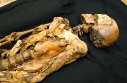 xcgirl08:  shoujofeels:   becausetheinternet:   A 2500 year old mummy that had some amazing tattoos.   WHAT. NO FUCKING WAY.   YO HOLD ON.  IT GETS BETTER. This mummy, found in the  Altai mountains of Siberia, is actually that of a young woman who died