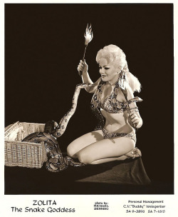 burleskateer:  Zolita    aka. “The Snake Goddess”.. An obvious Zorita wannabee, trying a little too hard.. To be fair, this is a 60’s-period promo photo. And by then, Zorita had already retired from performing; spending all of her time managing