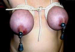 justnippleclamps:   Amateur Bondage Nipple Clamps and Tit Torture: Amateur-BDSM.org Just Nipple Clamps Pictures and Movies of Subs with Nipple Clamp  