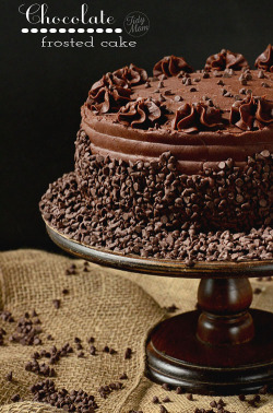 gastrogirl:  dark chocolate frosted yellow cake with raspberry preserves. 