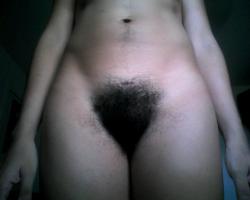 hairfarmers:  tits-on-a-tlacuache:  tits-on-a-tlacuache:  one time i got inspired to photograph (with my webcam) my full grown bush and happy trail and my still purple appendectomy scar  Reblogging my own pubes cuz sumone felt inspired to reblog them