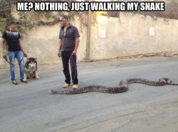 memewhore:  Slithering.  Slithering your snake.