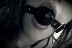 lovewellwhipwell:  girlfriend-material:  Just me, and my ballgag.  Girlfriend material indeed ;).