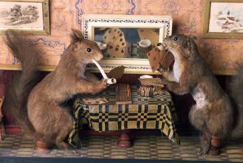 Victorian Era Fan Guide | A taxidermy display by Walter ...
 Walter Potter Squirrels
