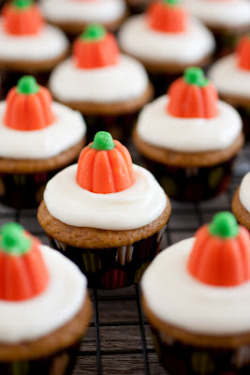 gastrogirl:  mini pumpkin cupcakes with cream cheese frosting. 