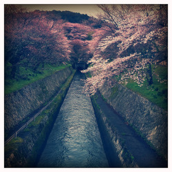 japanlove:  Otsu Canal - Miidera by tjsander on Flickr.
