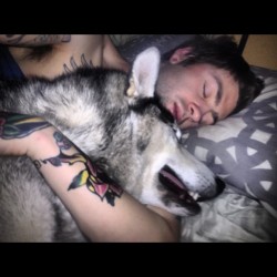 I love him so much! #husky #malamute #boston #cute #bestfriends #dogsofinstagram #bestfriend  (Taken with Instagram)