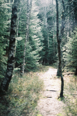 common-paradox:  (by Matilde Viegas) I went for a walk with my mother today because I’m getting sick these days and she said it’d be best to breathe some fresh air, maybe it would help me. and it did. this walk made me realize once again how much