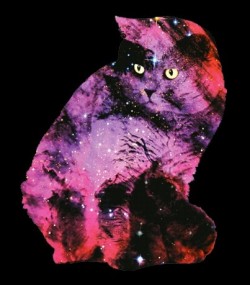 cuntcastle:  badelectricity:  Zippora Lux, Celestial Cats. 