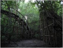 pianokeyteeth:  I love abandoned roller coasters. I believe this photo was taken at the abandoned Chippewa Lake Park, located in Medina, Ohio.  One of the places I plan on visiting this winter. 